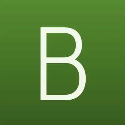 BORISOV.PRO, официальный дистрибьютор, лого-визитка