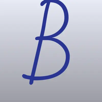 Bag place, магазин кожгалантереи, лого-визитка