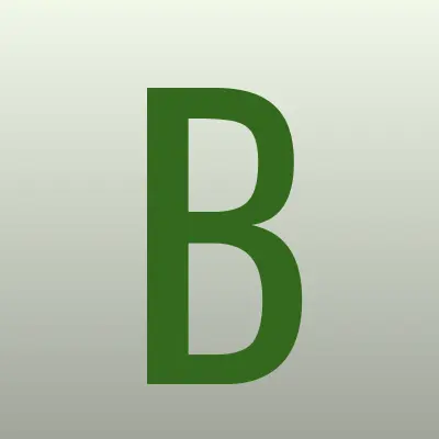 Bibikavip.ru, автосервис, лого-визитка