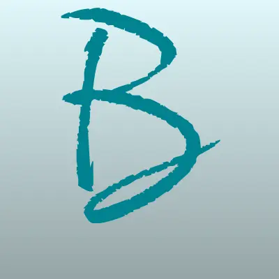 Brannor, лого-визитка