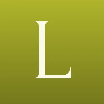 LBS-Soft, информационно-внедренческая компания, лого-визитка