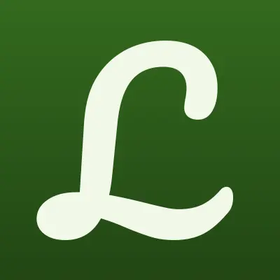 Look, салон оптики, лого-визитка