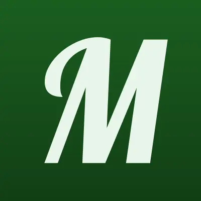 Магазин автозапчастей, ИП Спиряков М.В., лого-визитка