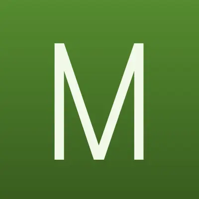 Mera Star, магазин обуви, лого-визитка