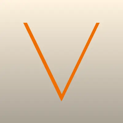 Vidy Plitki, салон, лого-визитка