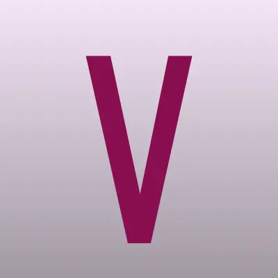 Vizard, компания, лого-визитка